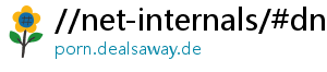 //net-internals/#dns